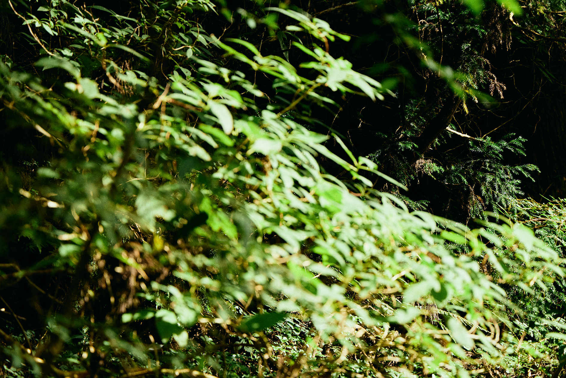 MOTOHAKONE | GEOSPOT